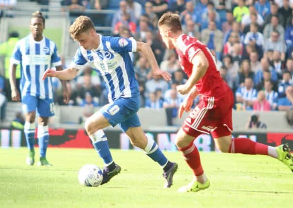 Solly March. Picture by Angela Brinkhurst
