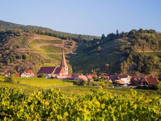 Vineyards in the he Alsace region
