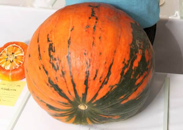 President Barry Hillman's prize-winning pumpkin DM16147204a
