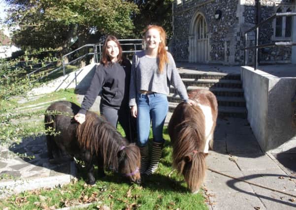 Meeting the two ponies from Pagham Ponies at St Nicholas Church in Middleton