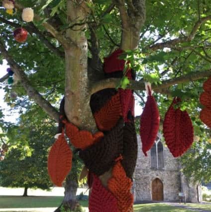 Majestic trees adorned with wool