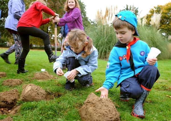 The gardeners of the Memorial Gardens, Beaver Scouts, parents and members of the Rotary Club, Lions Club and The Forget Me Not group are planting 3,000 crocus corms as part of the Rotary Purple4Polio campaign. Pic Steve Robards  SR1631677 SUS-161024-124319001