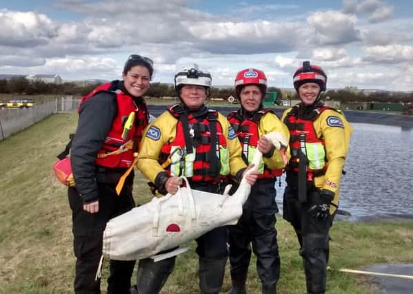 RSPCA members with a fire officer after rescuing the swan