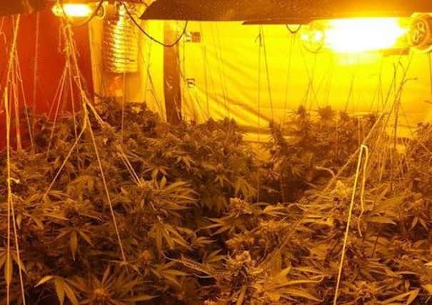 Police seized 98 plants from the property in Littlehampton