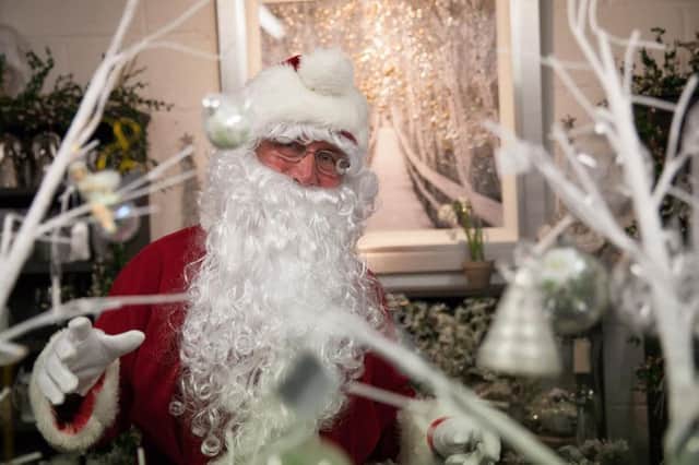 Father Christmas, photographed by Rachel Poulton
