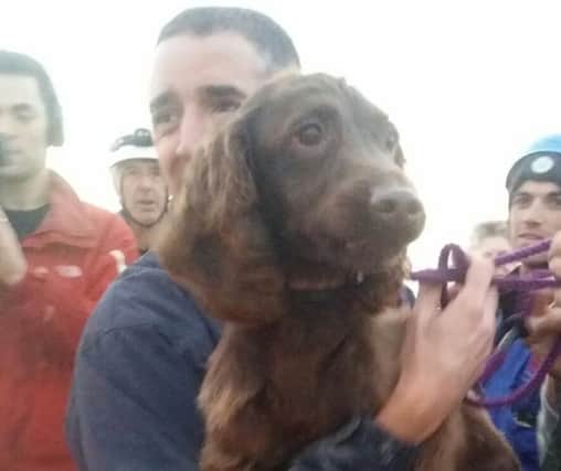 Bonnie was rescued after two days down the cliff face. Phot courtesy of Beachy head Chaplaincy SUS-161026-075524001
