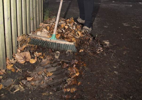 Fallen leaves can lead to problems (file picture)