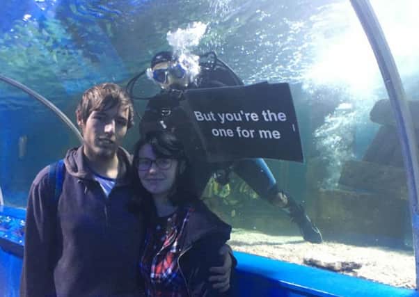 Blue Reef Aquarium helped Matt propose to his girlfriend. SUS-161028-154950001