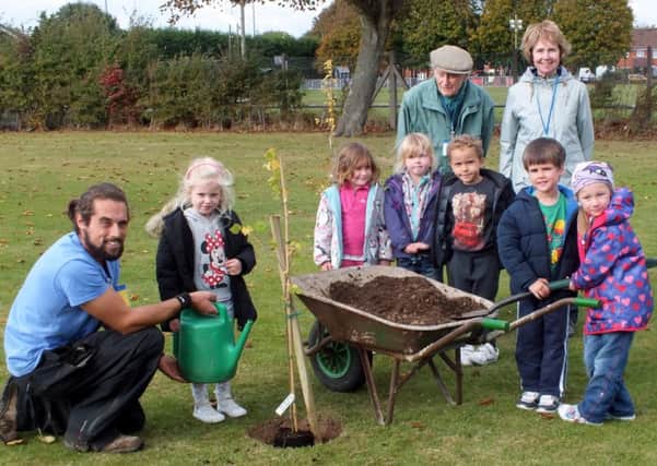 Youngsters at a East Preston Infant School helped to plant new elm trees in their grounds, as part of a wider scheme to replace the many trees lost in the 1970s as a result of Dutch elm disease