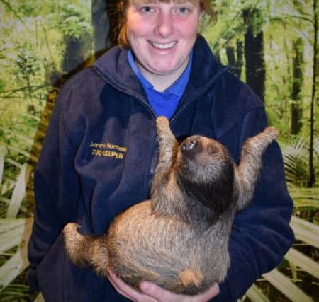 Gemma Romanis with newborn sloth SUS-160911-161328001