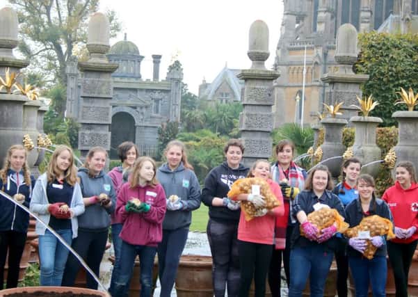 Guides from Girlguiding Sussex West helping to plant tulips at Arundel Castle