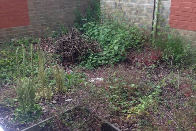 The area had been neglected, so was rather overgrown