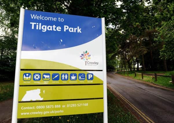 The Friends of Tilgate Park is a group of residents who have expressed an interest in working to improve the park