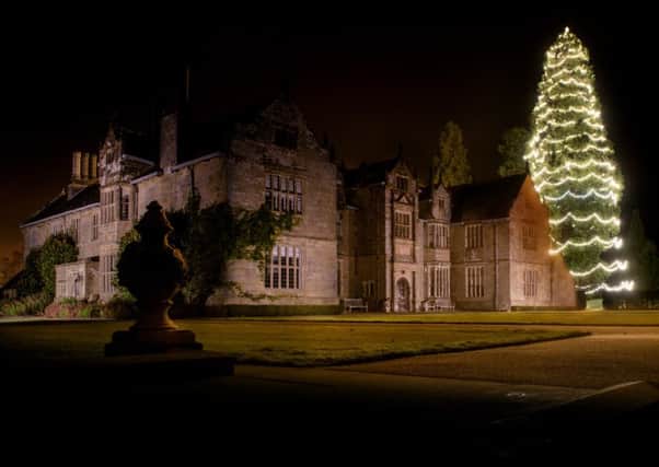 Wakehurst Place - Christmas tree lights at Wakehurst.  Picture by Jim Holden