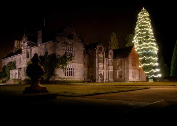 Wakehurst Place - Christmas tree lights at Wakehurst.  Picture by Jim Holden