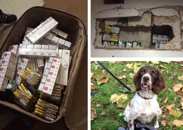 Sniffer dog Scamp with some of the cigarettes seized. Pictures: West Sussex County Council