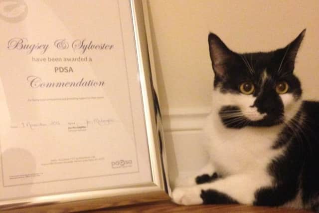 Sylvester and his  PDSA commendation award SUS-161122-140334001
