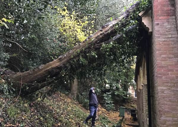 The tree fell onto the church roof