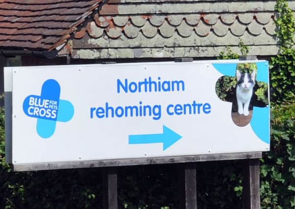 The Blue Cross animal rehoming centre in Northiam closed in October SUS-150617-131452001