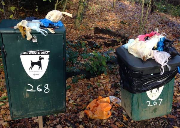 Overflowing dog waste bins in Haywards Heath SUS-161128-102657001