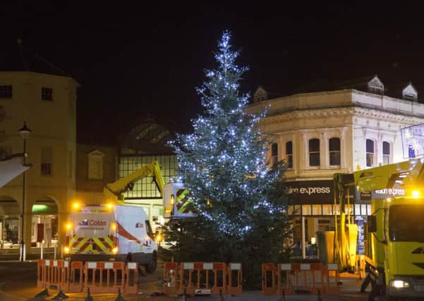 A giant tree has been installed in Montague Place. Picture: Eddie Mitchell