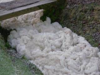 Slurry pollution seen in the stream