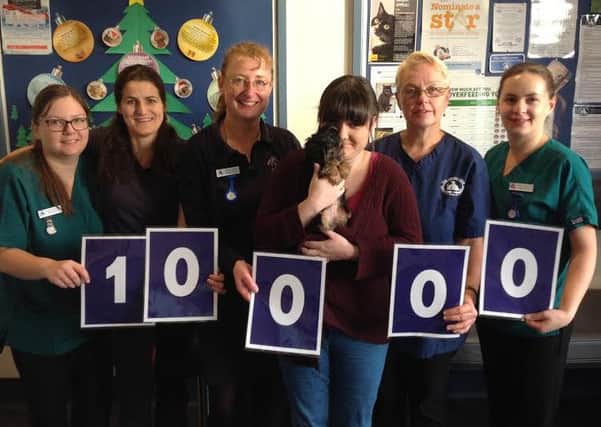 The Mewes Veterinary Clinic in Haywards Heath celebrates helping 10,000 pet owners in the local area since they opened 20 years ago.