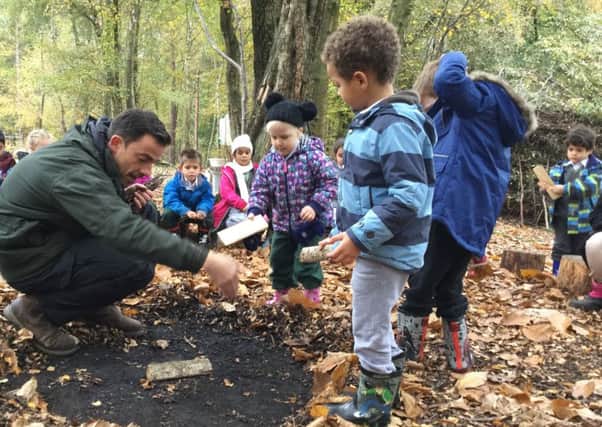 Forge Wood Primary School pupils have fun in Tilgate Woods - picture submitted