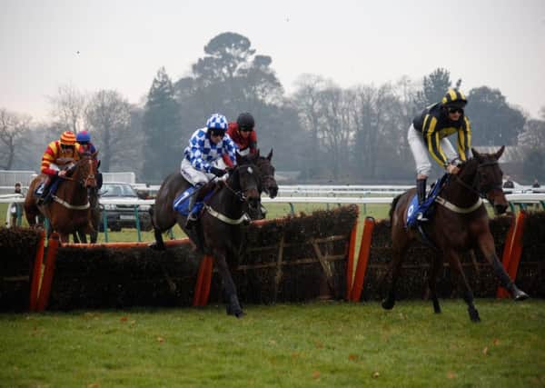 Action from the opening race at Fontwell's festive race day / Picture by Clive Bennett