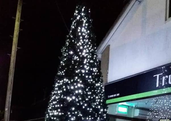 Lancing's new Christmas tree in Queensway