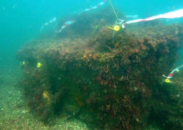 The cuckoo, one of a number of wrecks on the sea bed off of the Selsey coast ENGSUS00120131029120526