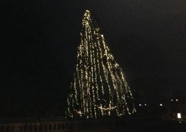 The large tree in Lower Church Road has more than 6,000 lights