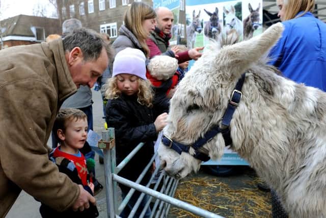 Horsham Churches Together Christmas Event and family nativity trail. .  Pic Steve Robards  SR1637059 SUS-161219-114335001