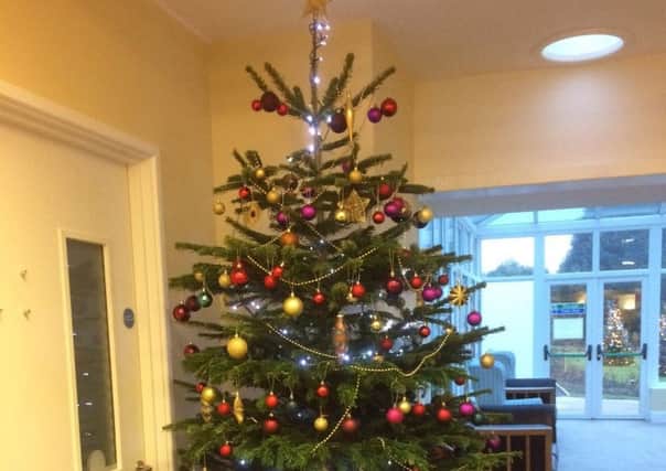 Littledown Christmas Tree SUS-161221-111400001