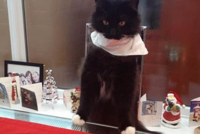 Arnie from Haywards Heath won over judges with his cheeky Christmas antics