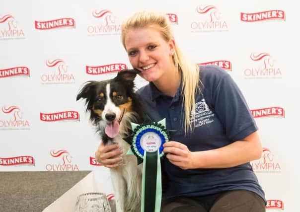 Border collie cross-breed Herbie, three, and Millie Clark, 21, from Littlehampton, came second in the Kennel Club Olympia Novice Agility Stakes at the Olympia International Horse Show held in London. Picture: Yulia Titovets