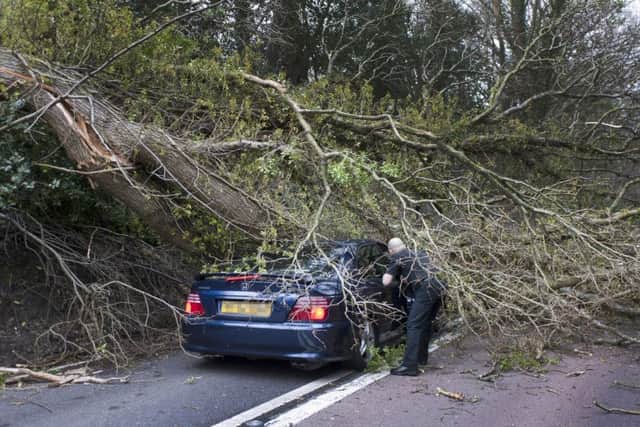 Tree comes down on car travelling down the A21 near Sedlescombe. Photo by Frank Copper. SUS-160802-143700001