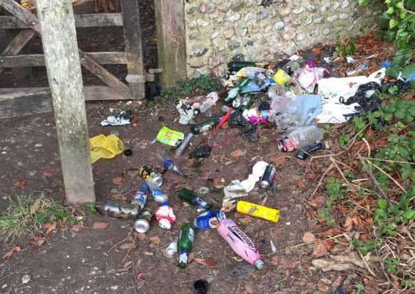 The rubbish was dumped in Highdown Hill on December 20, 2016. Picture: Lee Smith
