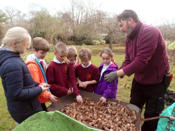 Pupils from Park Mead Primary School getting advice on the bulbs from Michelham Priory's Head Gardener James Neal