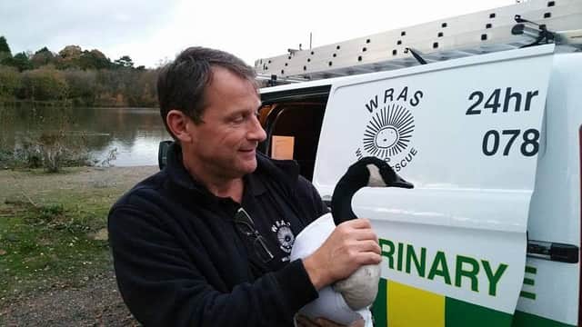 Rescuer Iain Turner with an injured goose SUS-161231-133331001