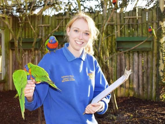 Deputy Zoo Section Leader Katherine Gibson with the lorikeets