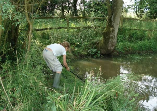 Monitoring and improving the health of Sussex ponds