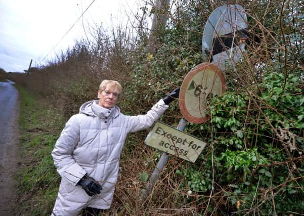 Sally Gardner with a 30mph/National Speed Limit sign that has been in a hedge for over a month. Pottery Lane, Brede. SUS-171001-152125001