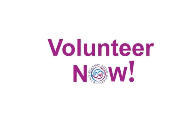 For more about Volunteer Now! on their website - www.do-it.org
