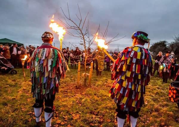 The wassail at Arundel Community Orchard was brilliantly led by Sompting Village Morris. PICTURES: NIGEL CULL