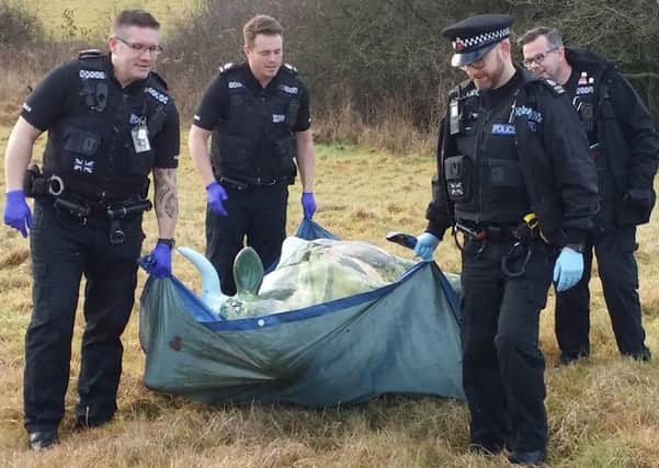 Police find the stolen cow sculpture SUS-171101-144140001