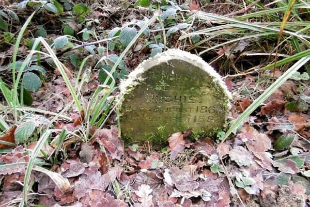 Sid Saunders came across a headstone for a pet rabbit in Marline Wood dated 1882. SUS-170701-133233001