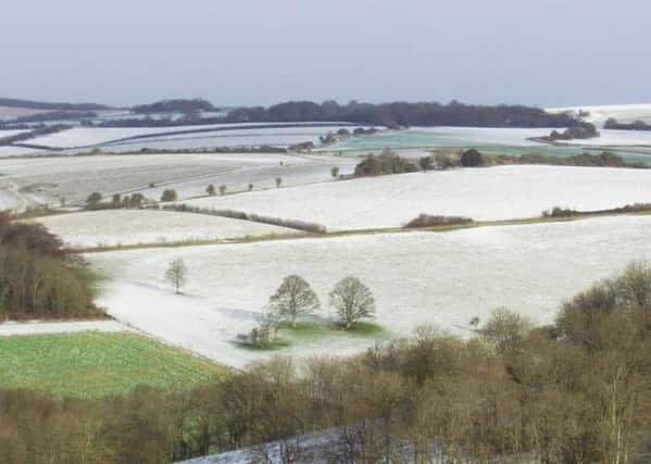Light snow on the South Downs near Cissbury Ring. Picture: Eddie Mitchell