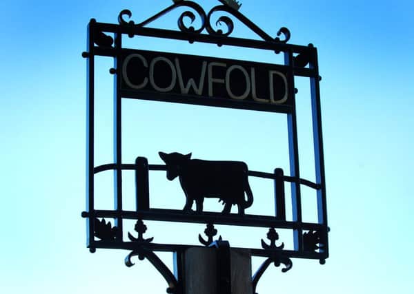 Developers are looknig to build 110 homes on the edge of Cowfold