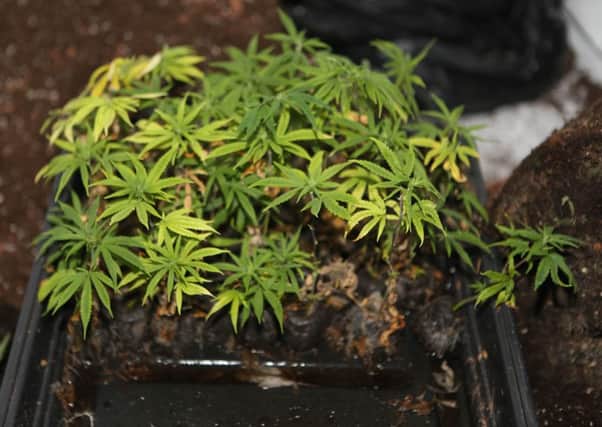 A house in Westcourt Road, Worthing had been turned into a cannabis factory by tenants. Picture: Eddie Mitchell